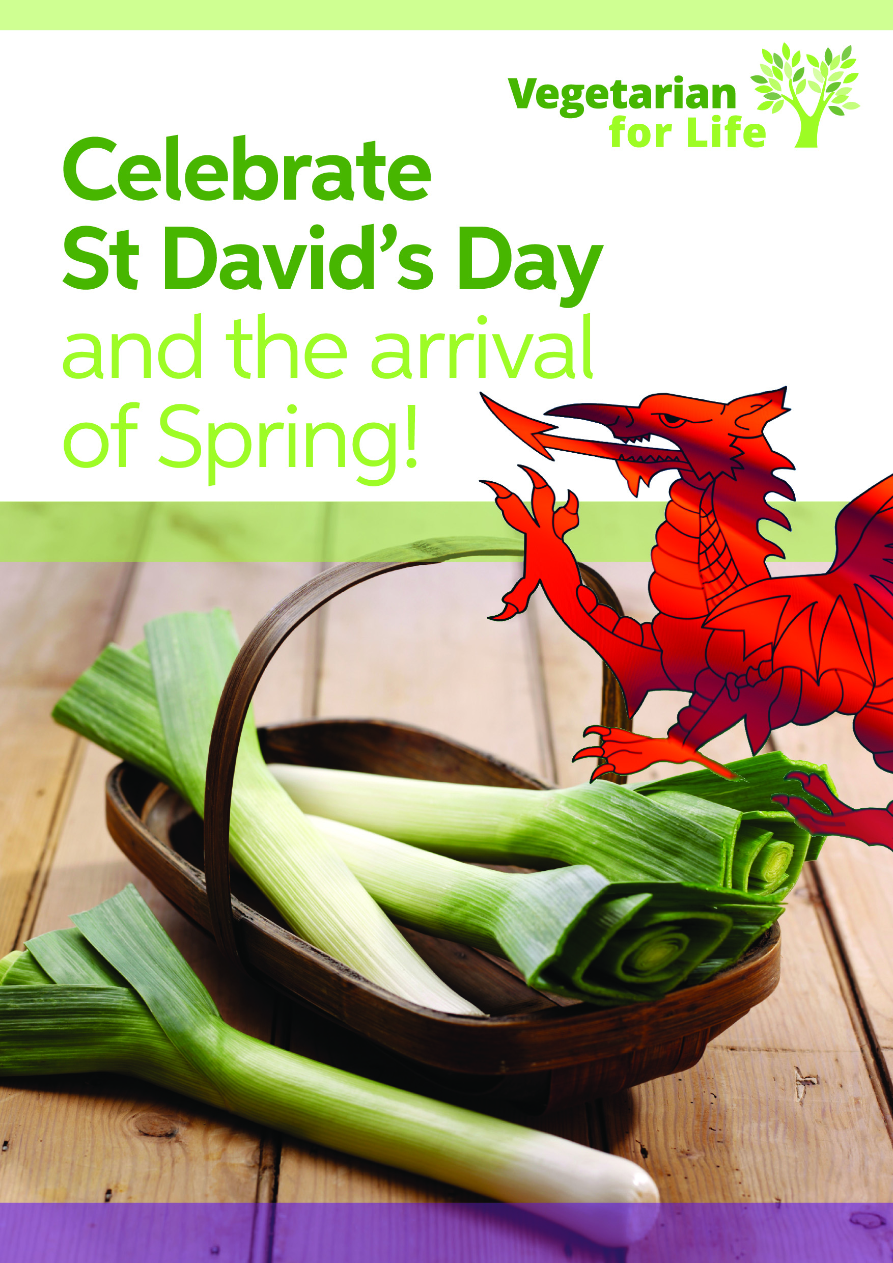 Celebrate St David’s Day